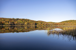 Autumn Reflections in a Lake 1