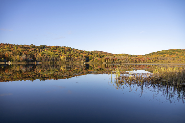 Autumn Reflections in a Lake 1 by JRT Photography