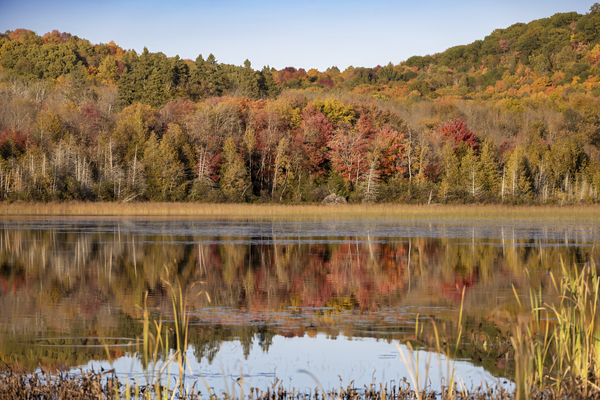 Autumn Reflections in a Lake 2 by JRT Photography