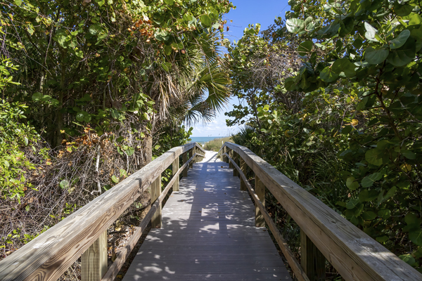 Lush Boardwalk to the Beach Cocoa Beach Florida by JRT Photography