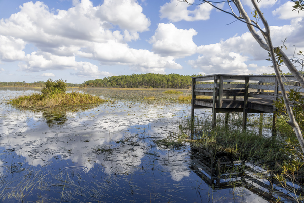 Bonnet Pond Overlook Orlando Florida by JRT Photography