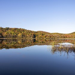 Autumn Reflections in a Lake 1