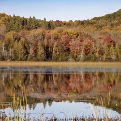 Autumn Reflections in a Lake 2