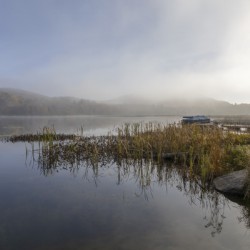 Morning Mist Over Cranberry Lake Haliburton ON 2