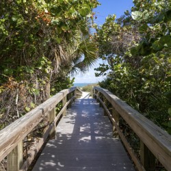 Lush Boardwalk to the Beach Cocoa Beach Florida