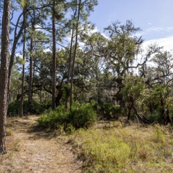 Hiking Trail in Moss Park Orlando Florida 2