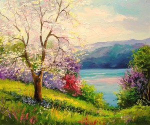 Cherry blossoms by the river