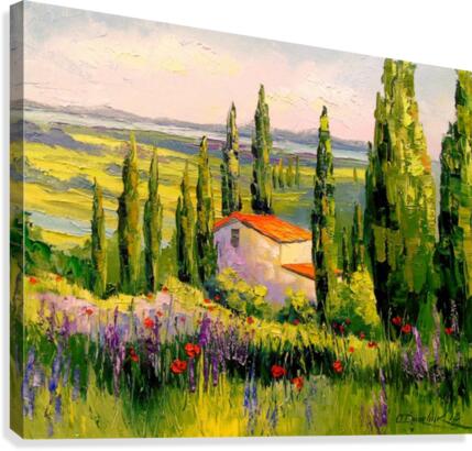 A house in Provence by Olha Darchuk Wall Art