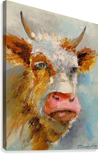 Young bull Canvas Print