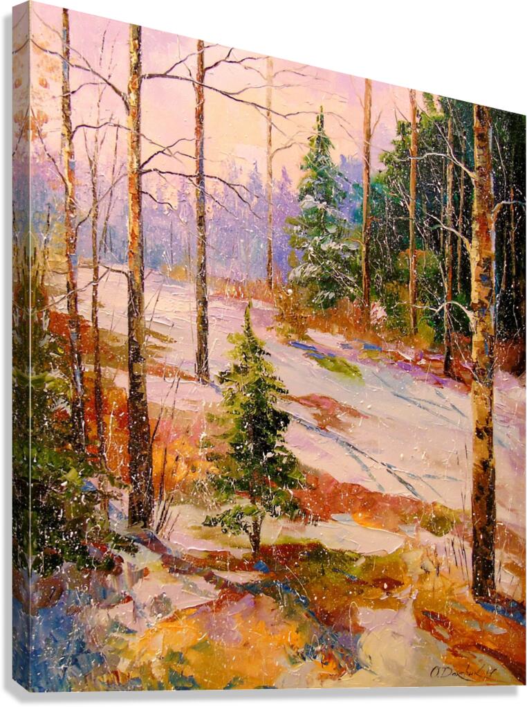 Winter forest Canvas Print