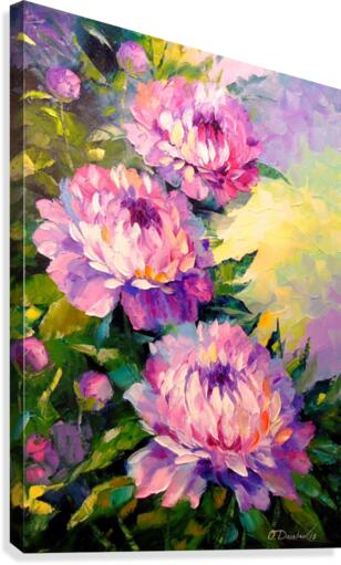 Peonies Canvas Print