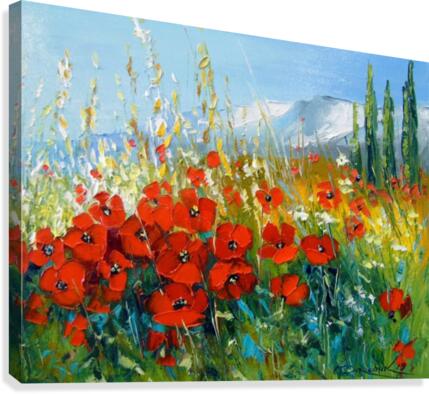 Summer poppies Canvas Print