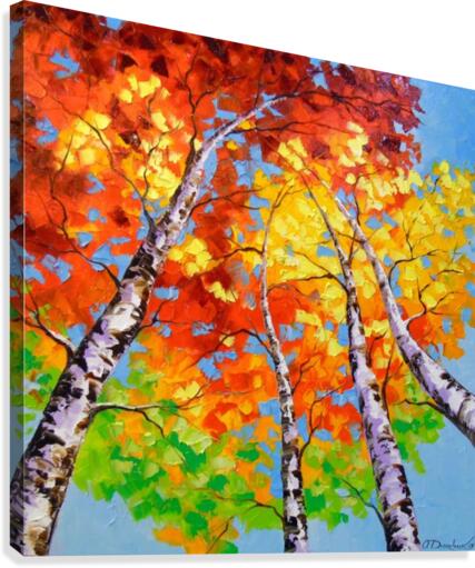 Sky birch Canvas Print