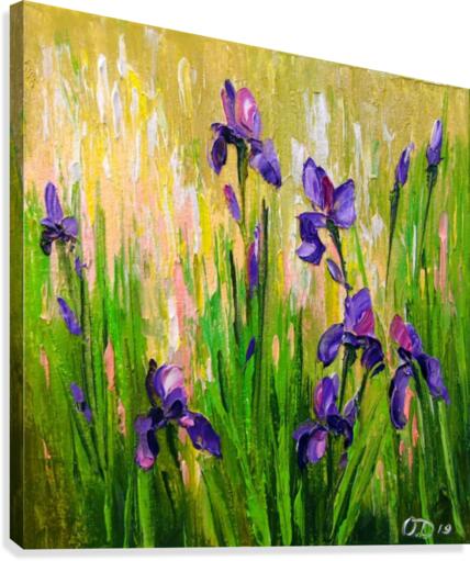 Irises Canvas Print