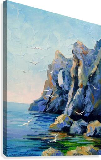 Rocky shore  Canvas Print