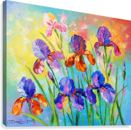 Irises  Canvas Print