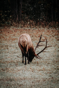 21CAB2DB E61F 4405 B9AE E4D2A2C08AD5