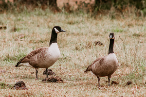 52B0DA0D 5497 4C92 A89A 2E5E7C19698B