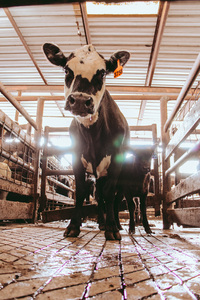 5FEDD67B 3137 4735 A284 78F3C767E063