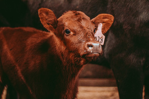 70833100 0E77 405F 9FBC 4F2FDA5BDF5F