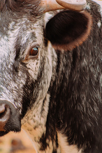 Beauty Is In The Eye Of The Beholder