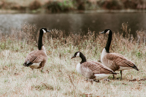 E07FB97C 2A06 4322 B686 266971D7EEF9