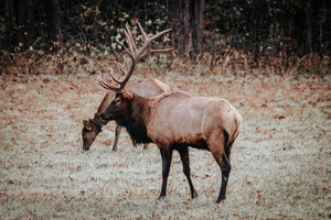 E60A8154 5406 4B68 8874 98C4A4E5B47C