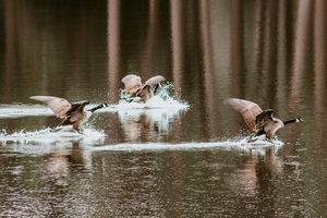 EA07D84A F19E 4234 A3F3 D270E08B6E9F