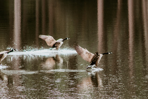 F21DABC1 ADCB 49D3 8BFB 0479B4B26ECF