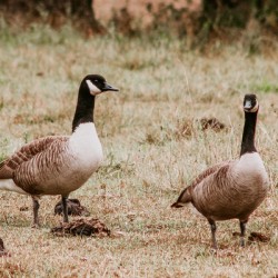 52B0DA0D 5497 4C92 A89A 2E5E7C19698B