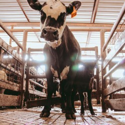 5FEDD67B 3137 4735 A284 78F3C767E063