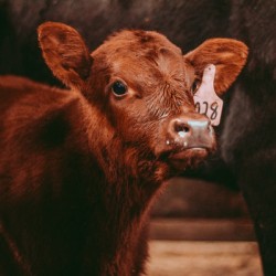 70833100 0E77 405F 9FBC 4F2FDA5BDF5F