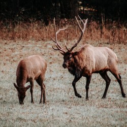 7530F6AD 4C22 4DA8 9DAE 6EBEC2496858