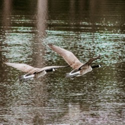 8CD14C46 58CF 487E B12B A7E8403D869B