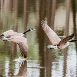 B7DCA13C 2177 46DC ABD2 30CB7D01CFE2