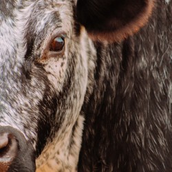 Beauty Is In The Eye Of The Beholder