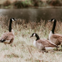 E07FB97C 2A06 4322 B686 266971D7EEF9