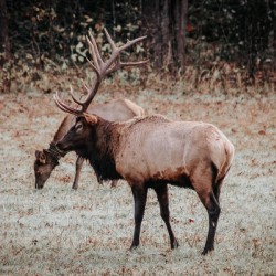 E60A8154 5406 4B68 8874 98C4A4E5B47C