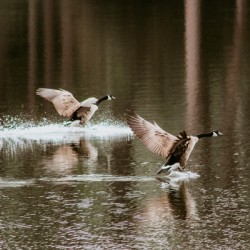 F21DABC1 ADCB 49D3 8BFB 0479B4B26ECF