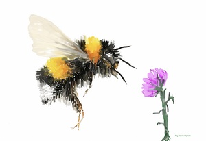 Bumble Bee Rose Print