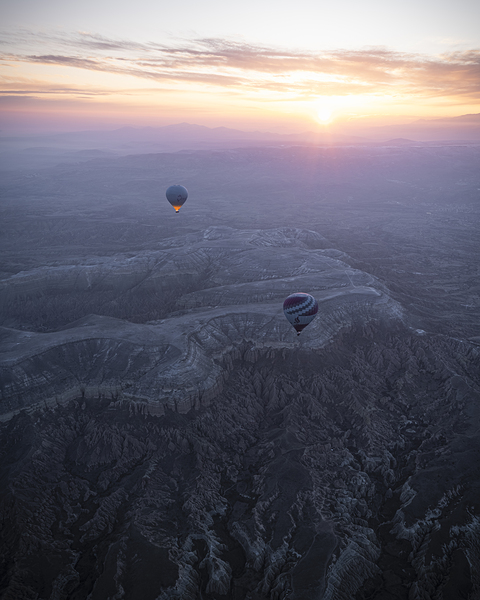 Balloons 1 Print