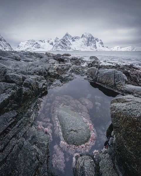 Maritime Basin Print