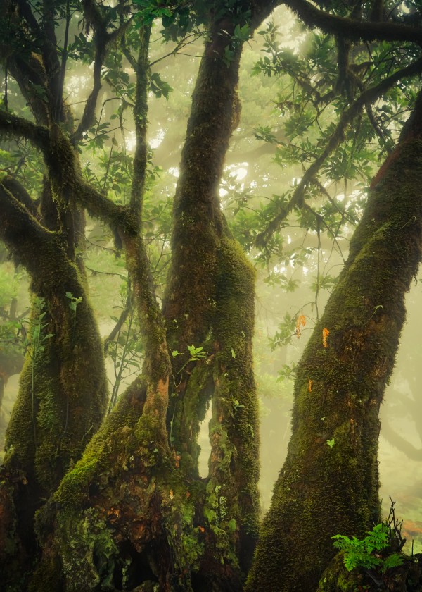 Close to the green by Anke Butawitsch