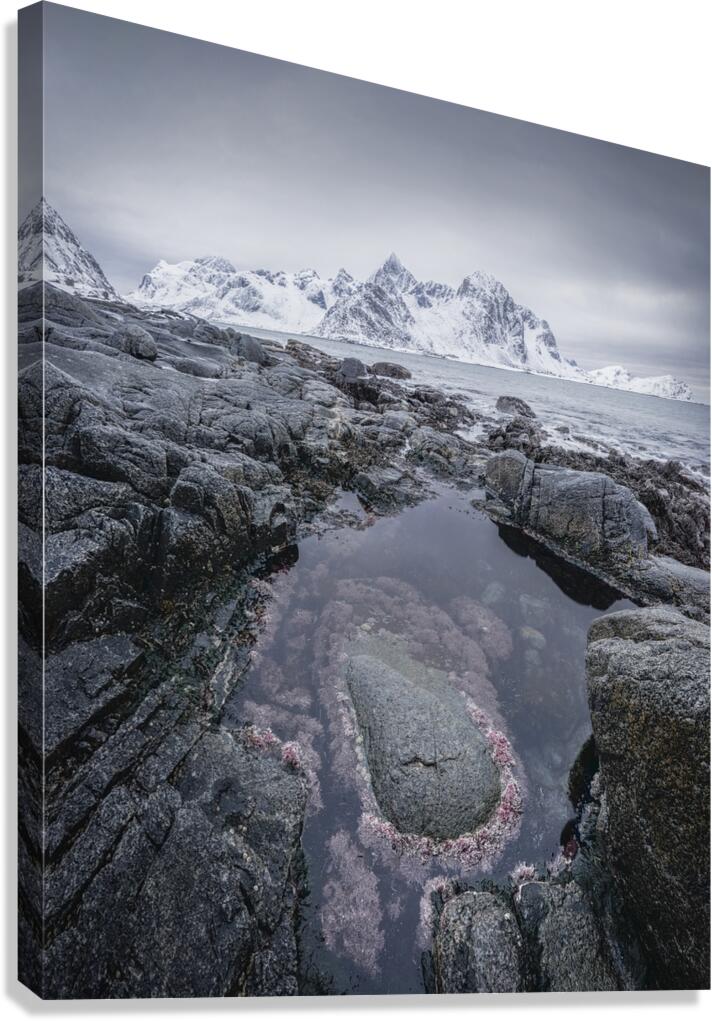 Maritime Basin Canvas Print