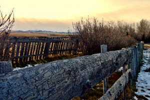 On The Fence