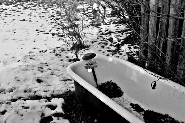 Cold Showers Print