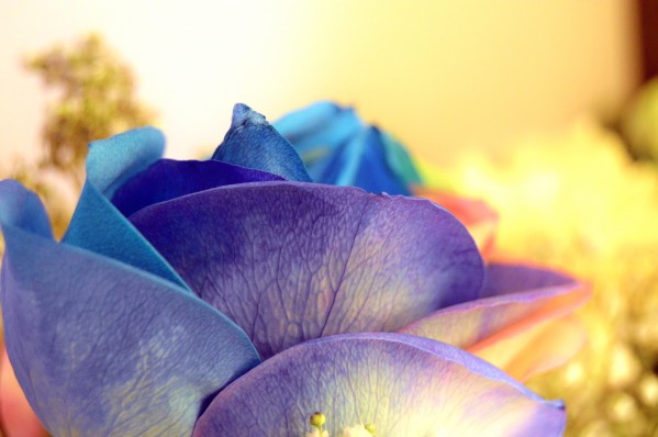Colourful Days Print