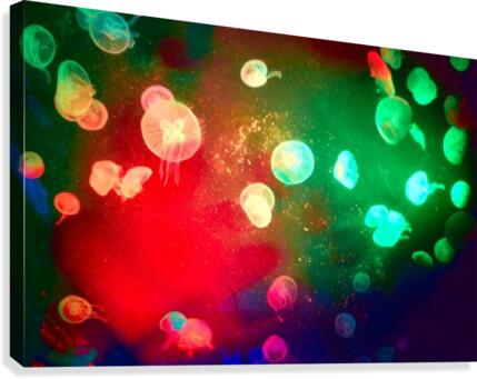 Jelly Canvas Print