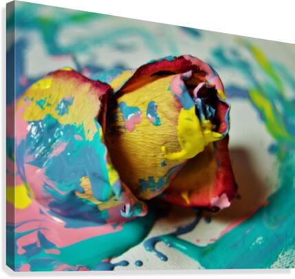 Painted Roses.06 Canvas Print