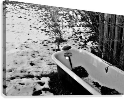 Cold Showers Canvas Print